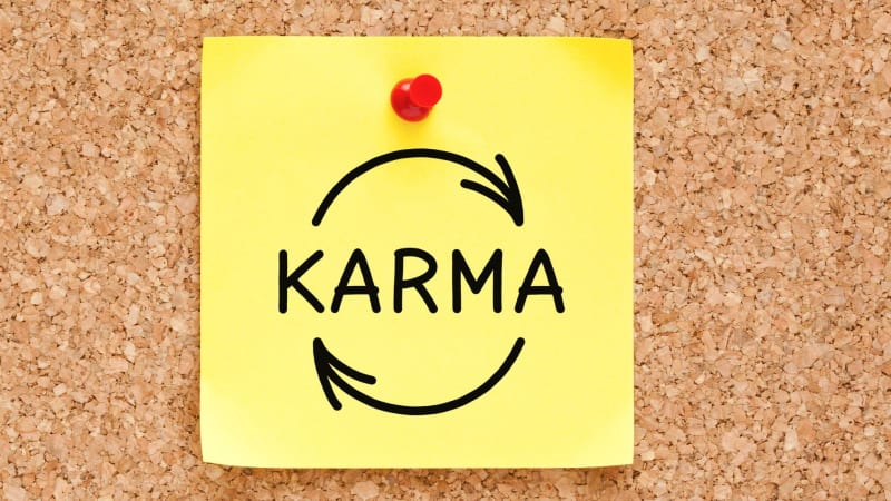 Karma returns what it means