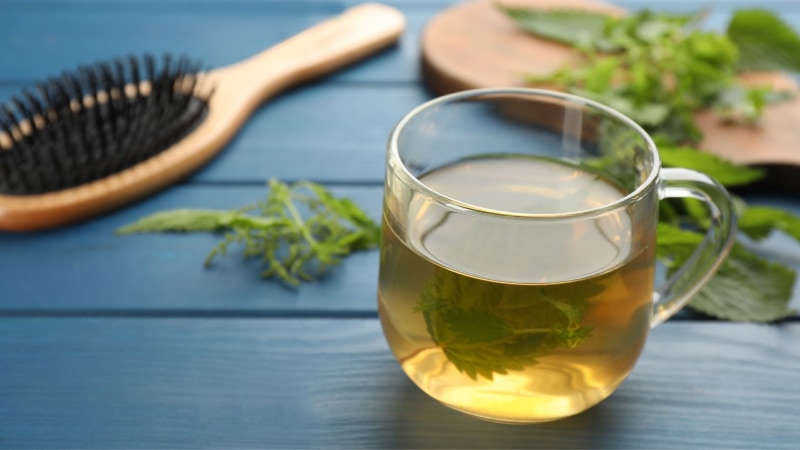 Nettle infusion for hair growth