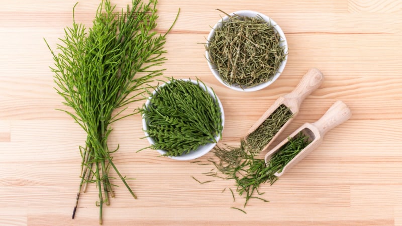 Field horsetail for hair